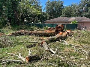 Cut tree trunks and branches scattered across a yard beside a house and fence