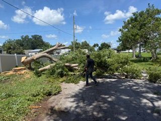 Person clearing fallen tree branches from a road in a sunny neighborhood.