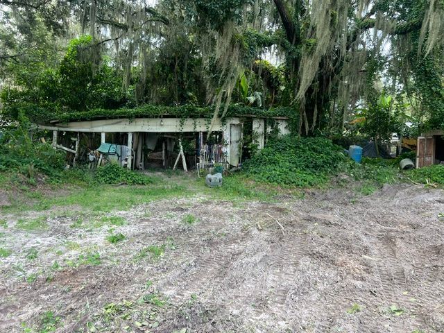 Small weathered shed under Spanish moss in a grassy, overgrown yard with dirt clearing.