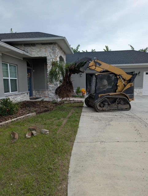 Yellow mini excavator on a driveway beside a house, removing a palm tree near the garage.