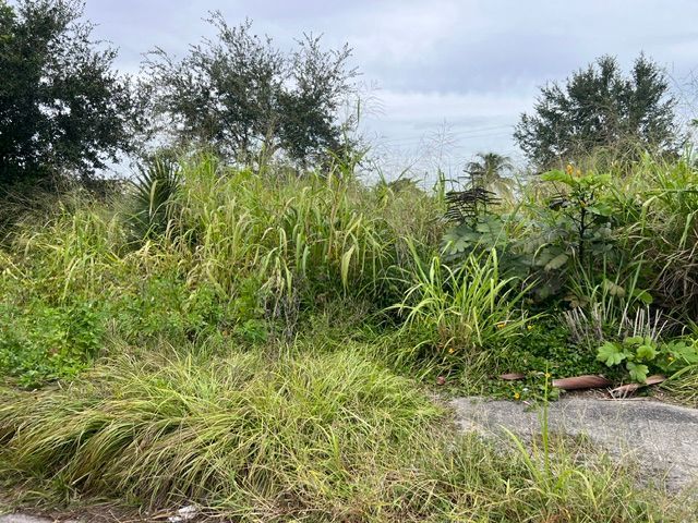 Overgrown grassy lot with shrubs and trees beside a paved path