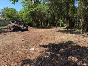 Off-road vehicle parked on a dirt clearing beside trees in bright sunlight