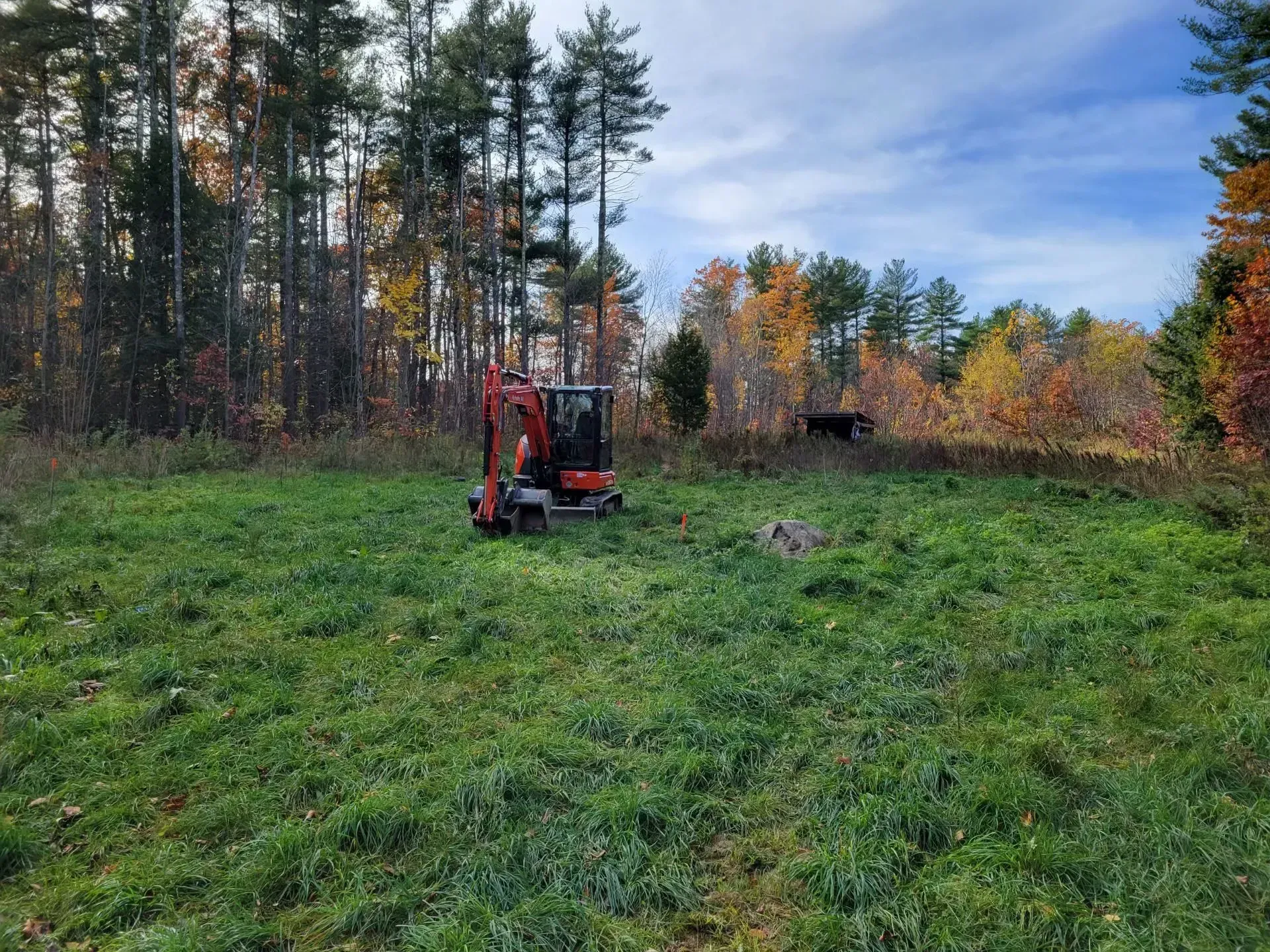 Red excavator in a grassy clearing beside a forest in autumn