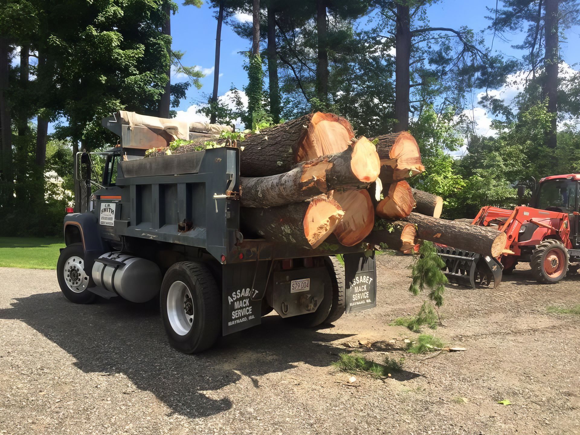 Dump truck loaded with logs in a wooded yard, with a small red tractor nearby.