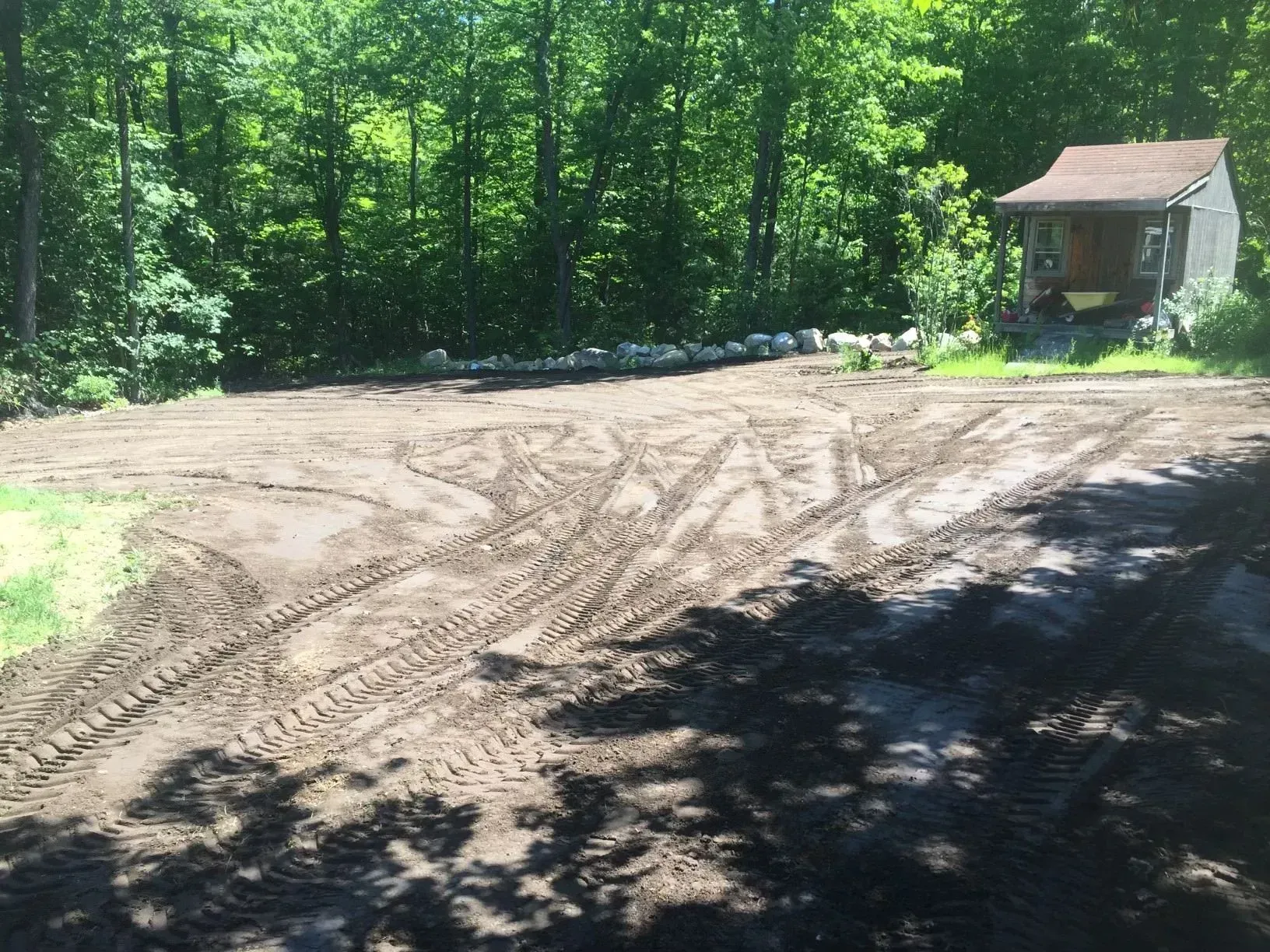 Sunny dirt clearing by a wooded forest, with a small shed at the right edge.