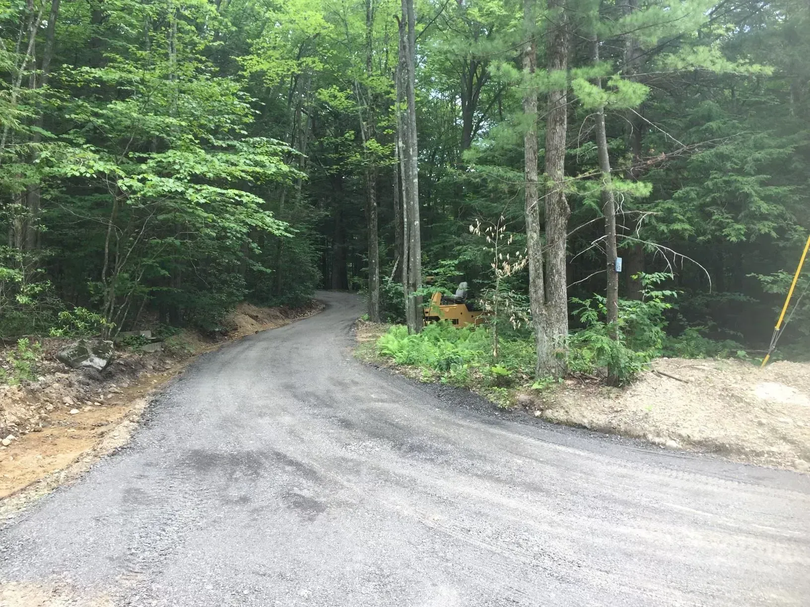 Gravel road curving into a dense green forest, with a dirt clearing on the right.