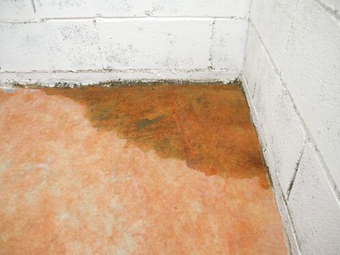 Water pooled on a basement floor, stained orange and brown, against white cinder block walls.