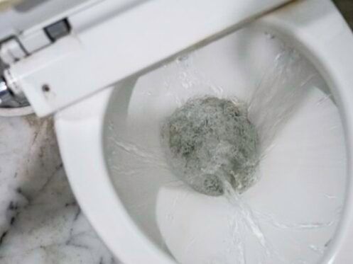 Toilet bowl with water flushing around a large, gray, hairy mass.