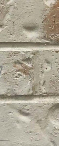 Brick Color - Nube Gray