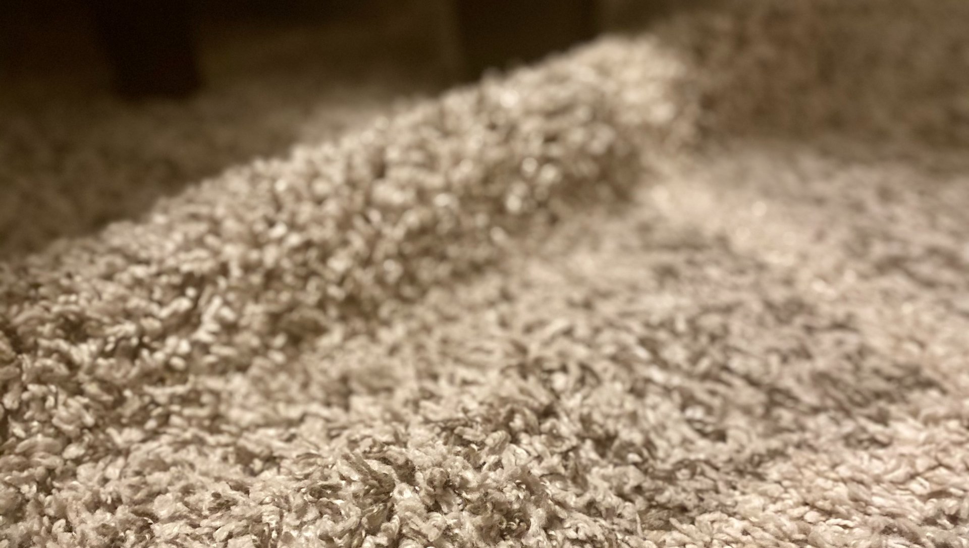 Rug Wrinkle Hack and Tips
