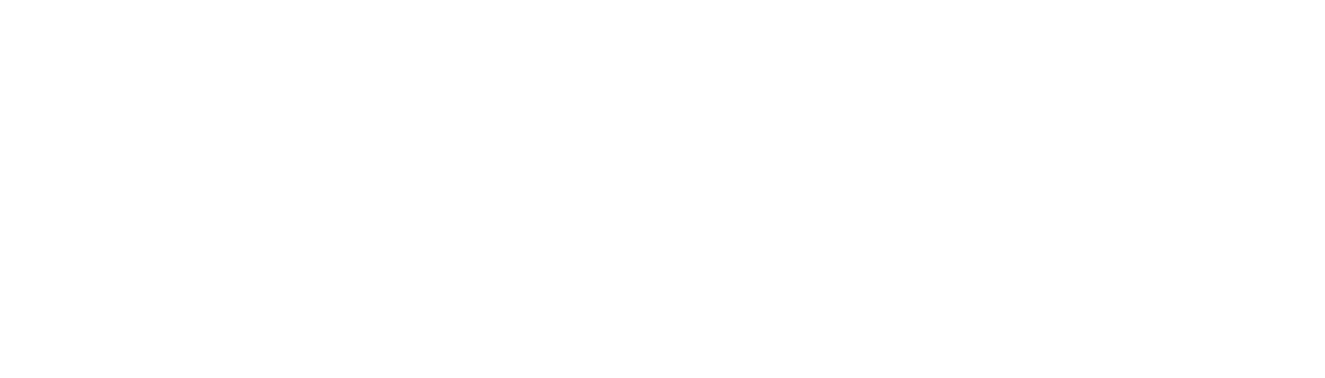 White horizontal rectangle centered on a black background, resembling a blank banner or divider.