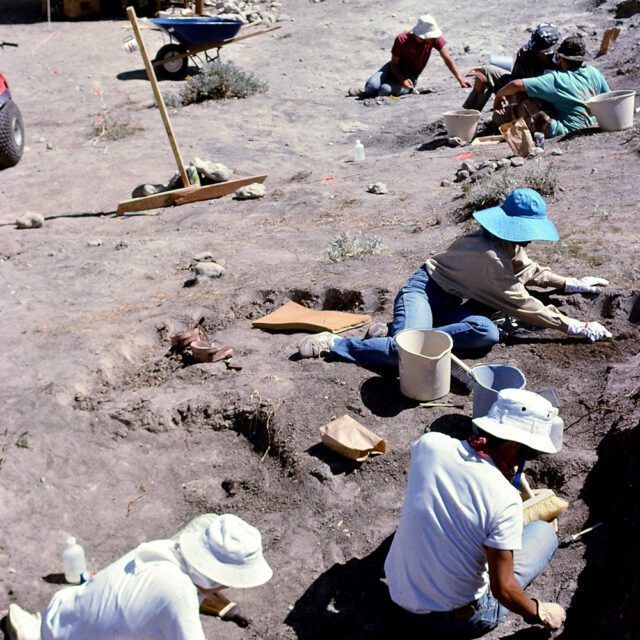 A group of people wearing hats are digging in the dirt