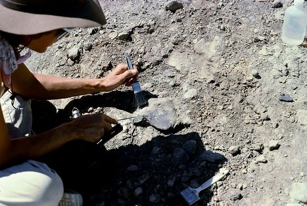 A woman wearing a hat is kneeling down in the dirt using a brush