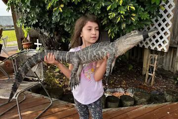 A girl holding an alligator