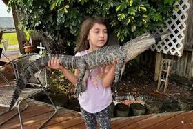 A girl holding an alligator