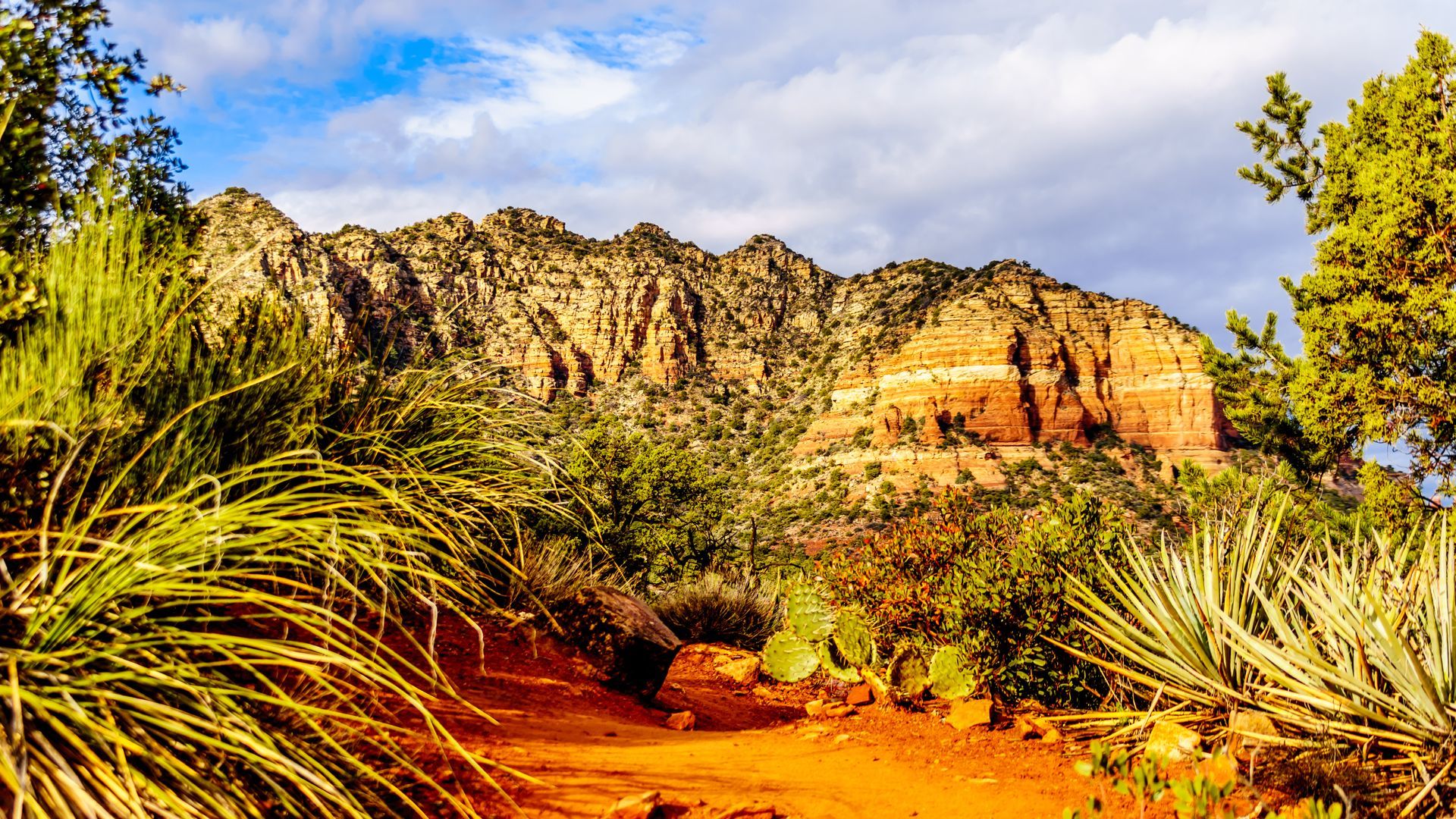 A dirt road in the desert with a mountain in the background.
