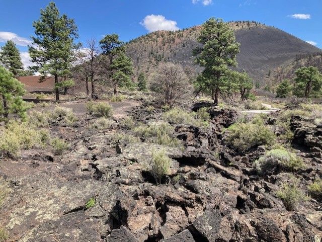 A rocky landscape with trees and mountains in the background