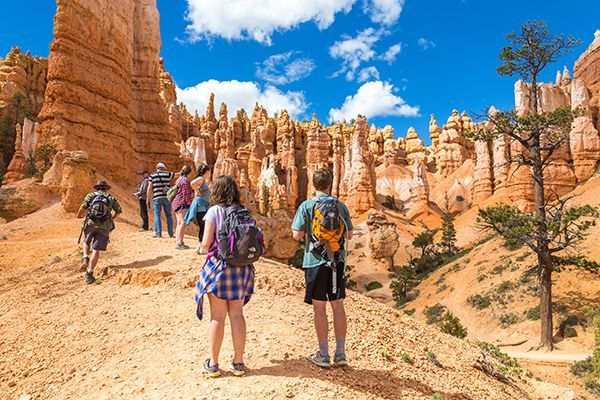 A group of people are hiking through a canyon.