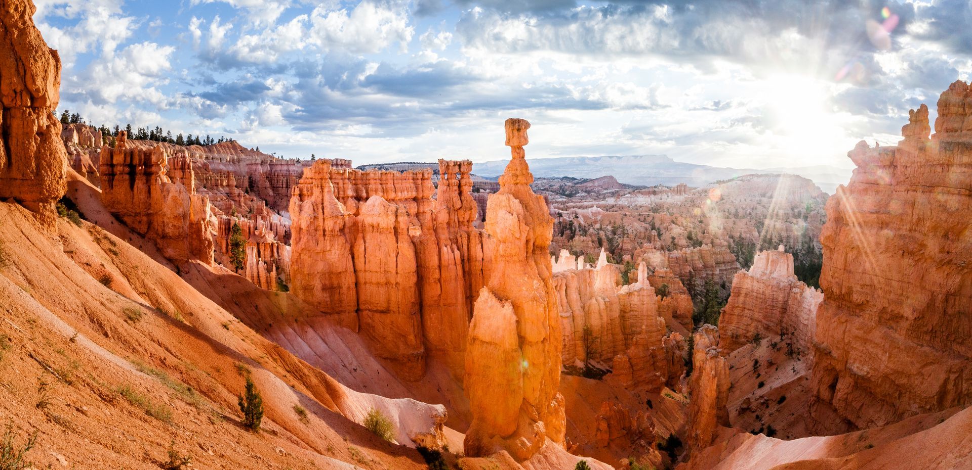 A panoramic view of a canyon filled with rocks and trees.