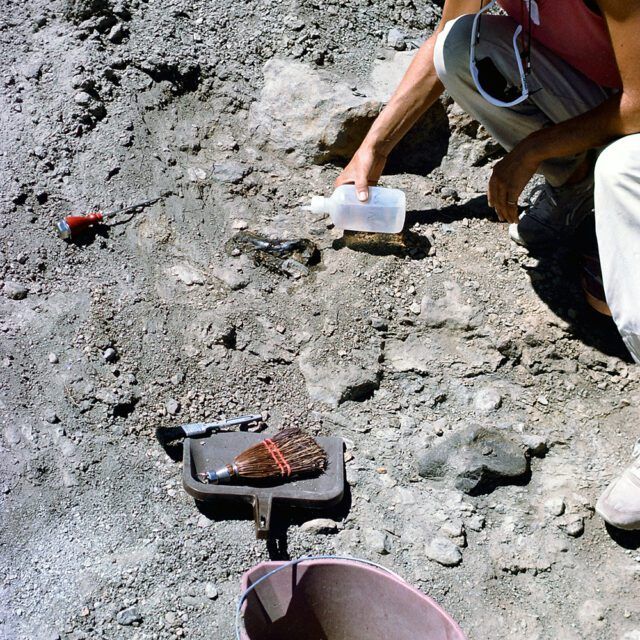 A person is kneeling down in the dirt holding a bottle