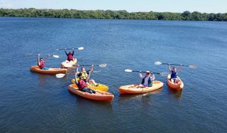 A group of people are rowing kayaks on a lake.