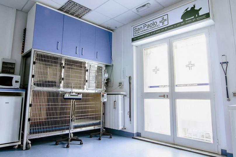 area b - day hospital