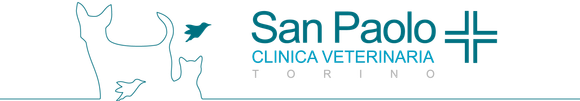 logo Clinica Veterinaria San Paolo