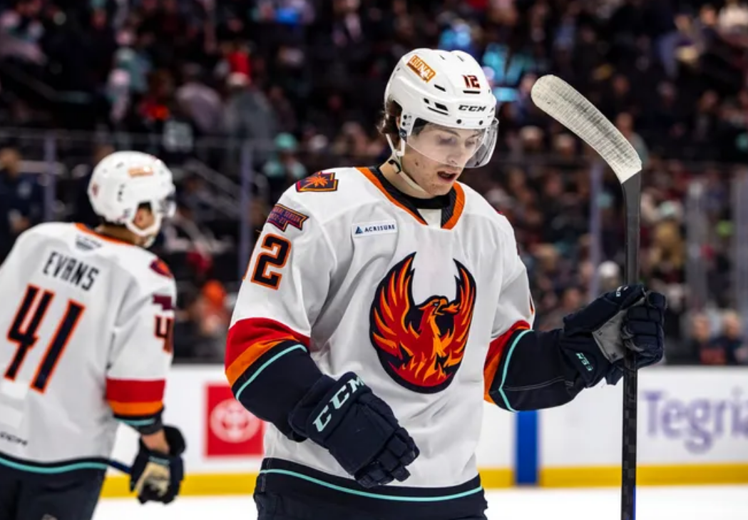 Coachella Valley Firebirds hockey playerin one the rink with the number 41 on his jersey