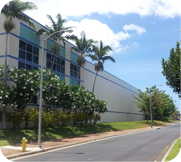 Modern building with palm trees along a quiet road under a blue sky