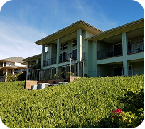 Green building with balconies behind a hedge under a clear blue sky
