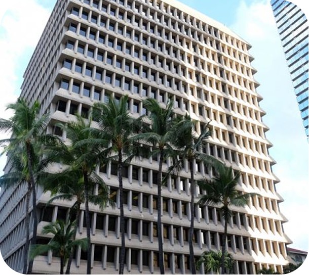 Tall beige office building with palm trees in front under a blue sky
