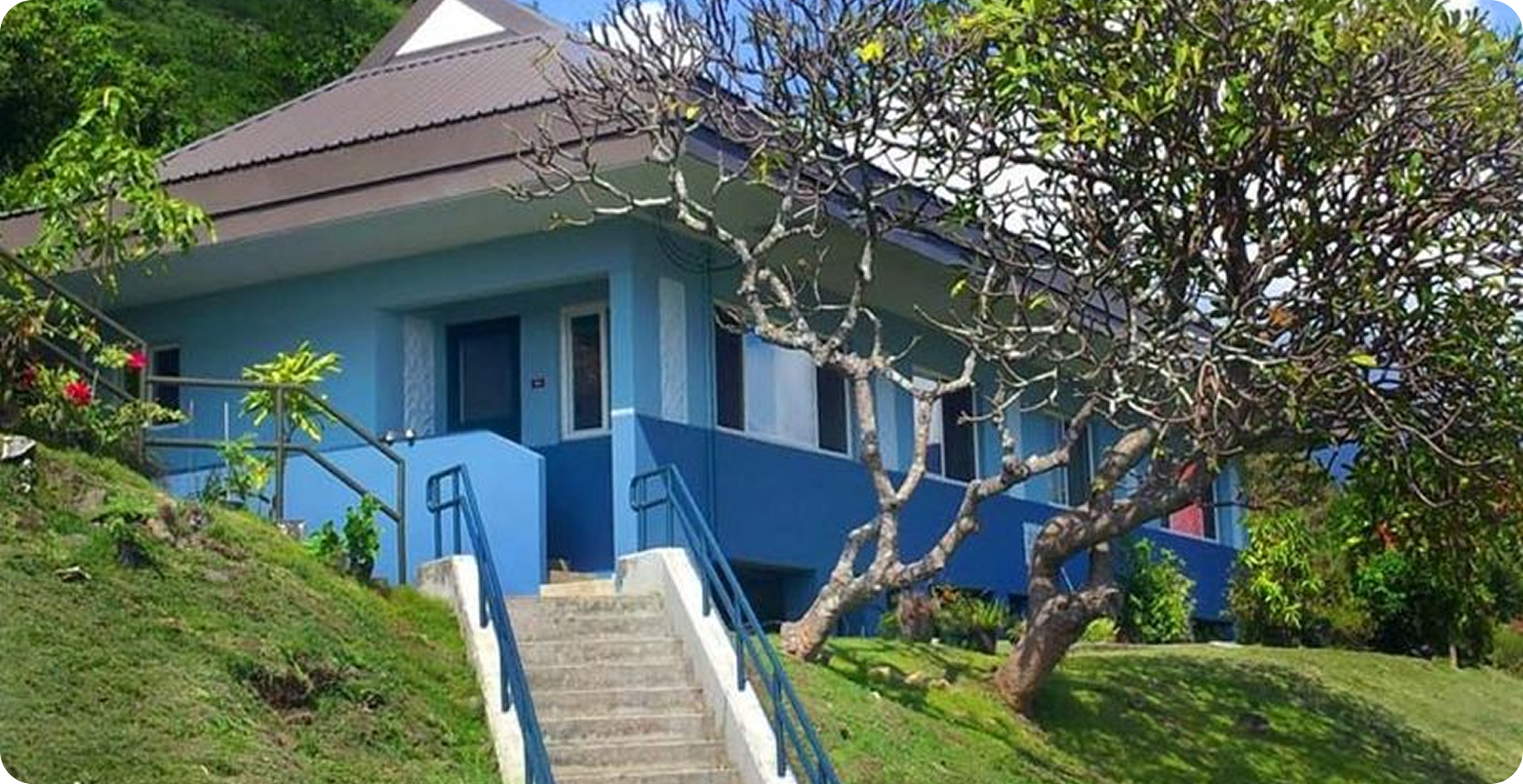 Blue house with white steps on a grassy hillside, surrounded by trees and greenery.