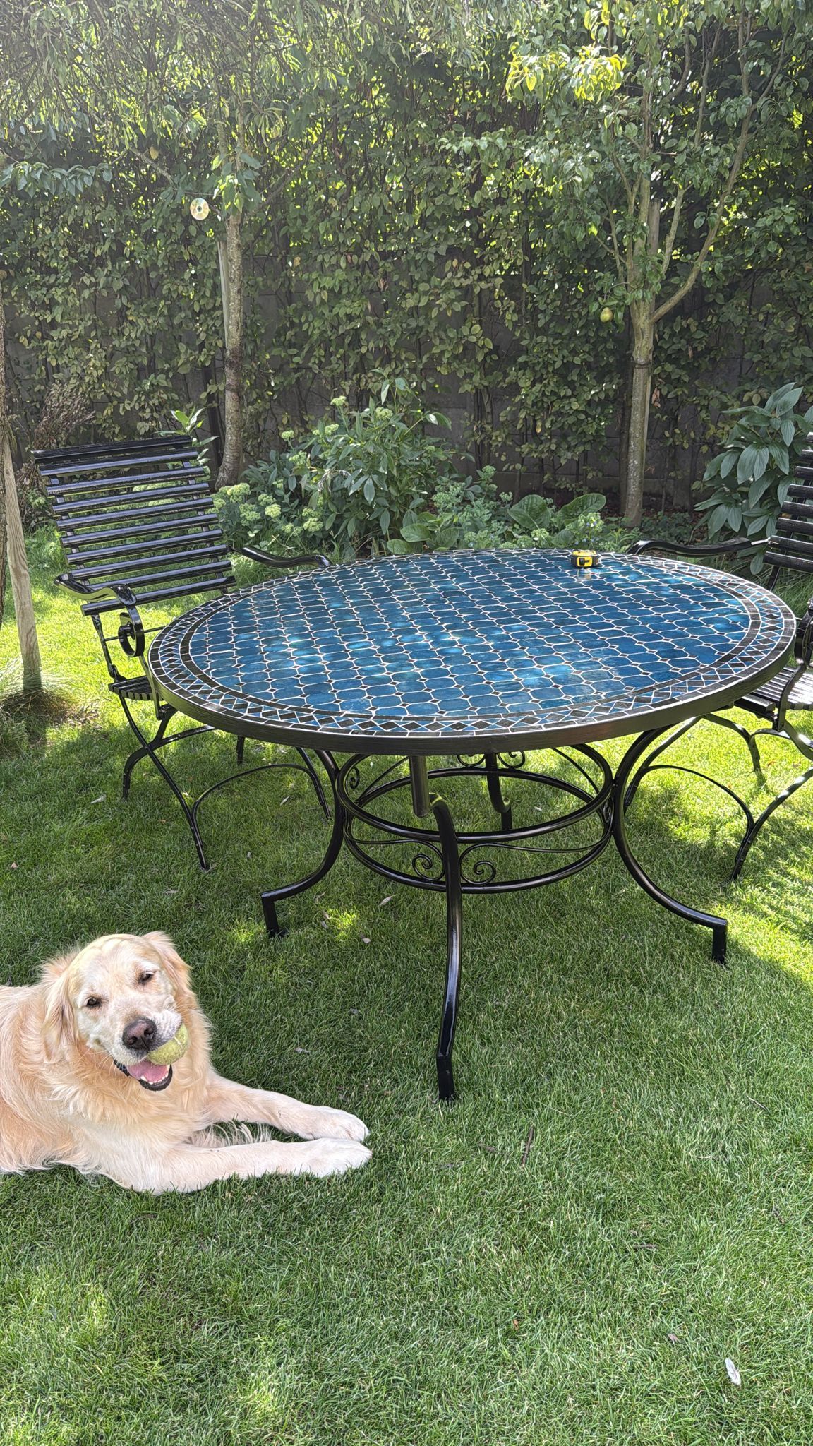 Een golden retriever ligt op het gras naast een Marokkaanse mozaïektafel. Op de achtergrond is groen gebladerte te zien.