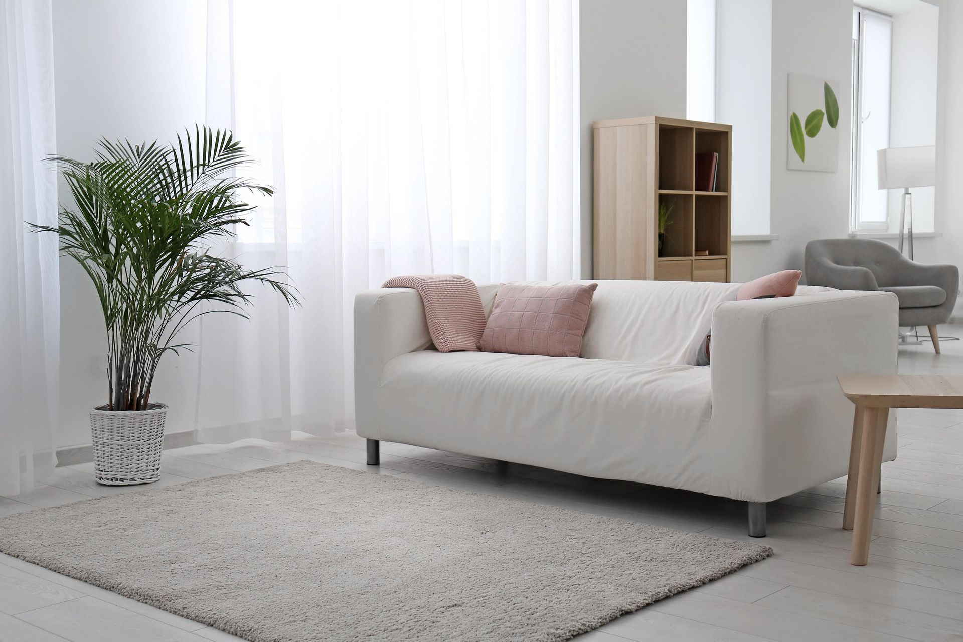 Bright living room with white sofa, rug, potted plant, and wood cabinet.
