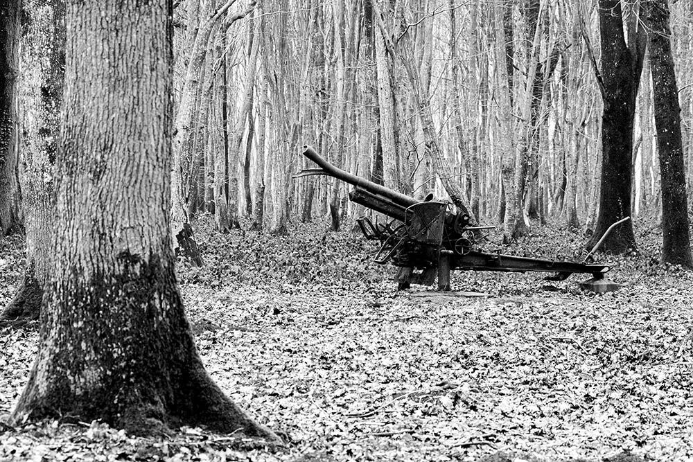 Belleau Wood, kanon, WW1