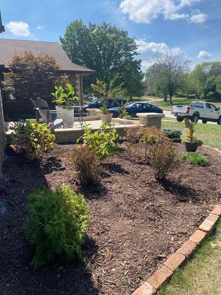 A yard with a lot of plants and a house in the background