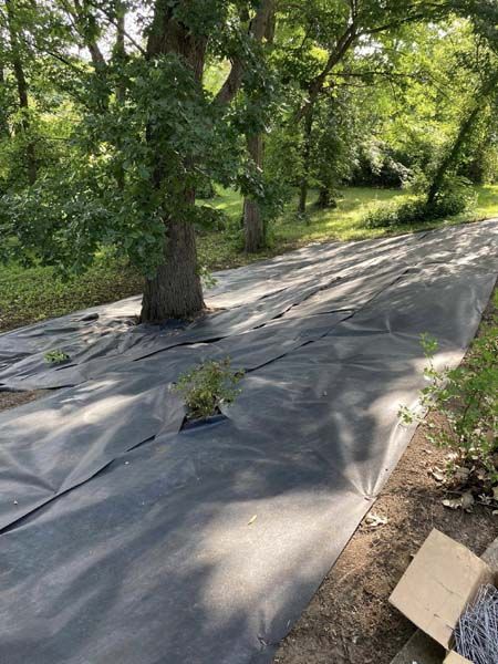 A black tarp is covering a dirt road in the woods.