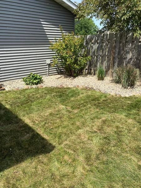A backyard with a fence and a lot of grass.