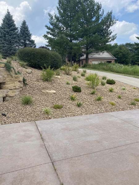 A driveway leading to a house with a lot of trees and bushes