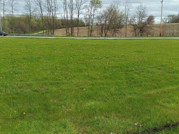 A large grassy field with trees in the background and a road in the foreground.