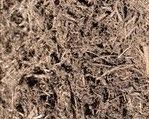 Double Processed Mulch — Painesville, OH — McCallister's Landscaping