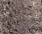 Leaf Humus Compost — Painesville, OH — McCallister's Landscaping