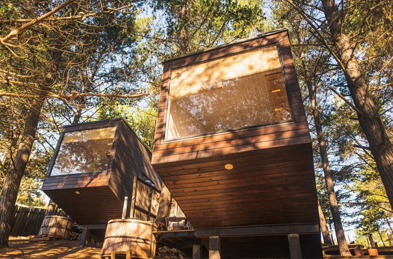 Dos modernas cabañas rectangulares de madera sobre pilotes ubicadas entre altos pinos en un entorno forestal.