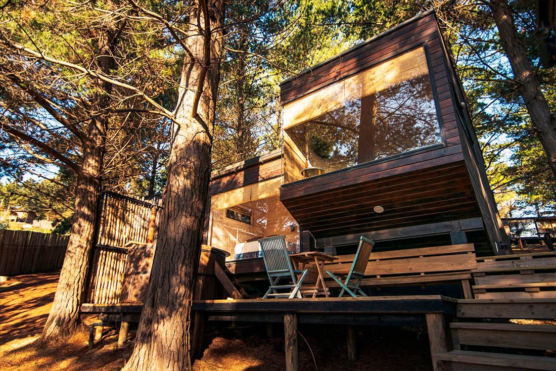 Una cabaña moderna, de tonos oscuros y con grandes ventanales, situada entre altos pinos en un bosque iluminado por el sol.
