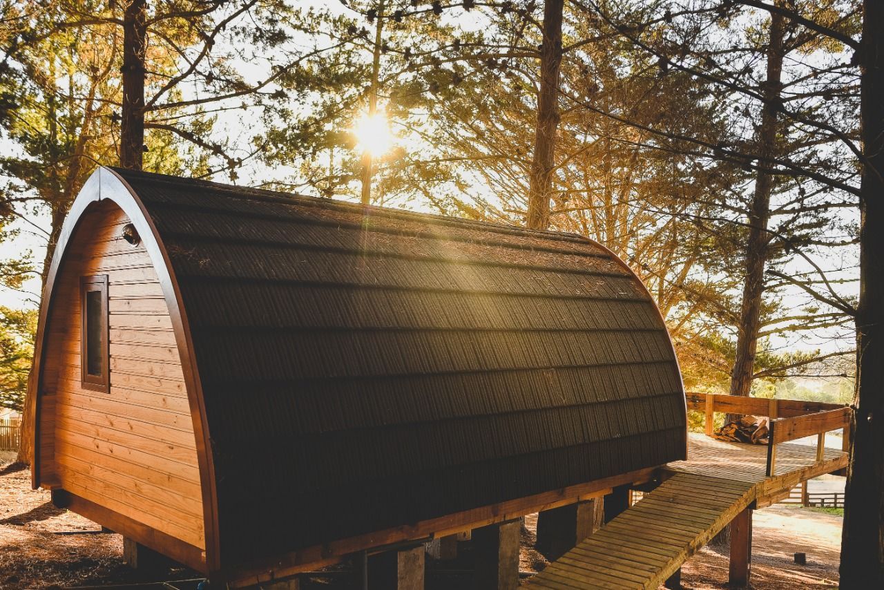 Cabaña de madera con techo oscuro arqueado en un bosque iluminado por el sol al atardecer.