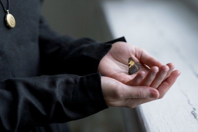 Hands holding a small bird near a window, with a dark sleeve visible