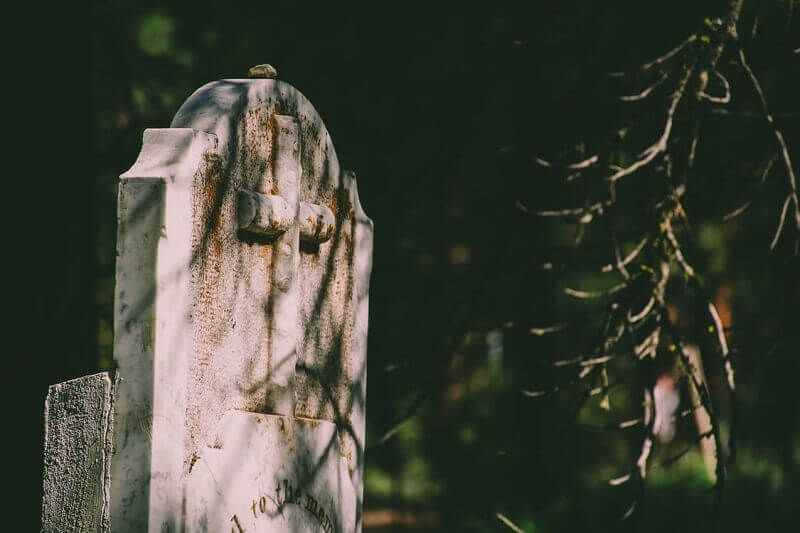 Weathered gravestone in shadow, with vines and leaves against a dark background