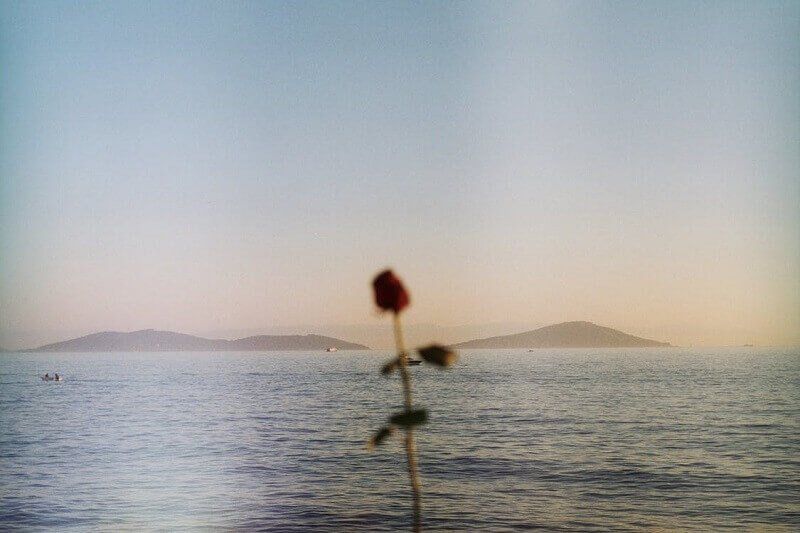 A blurred red flower in the foreground against a calm sea and pale sky with distant islands.