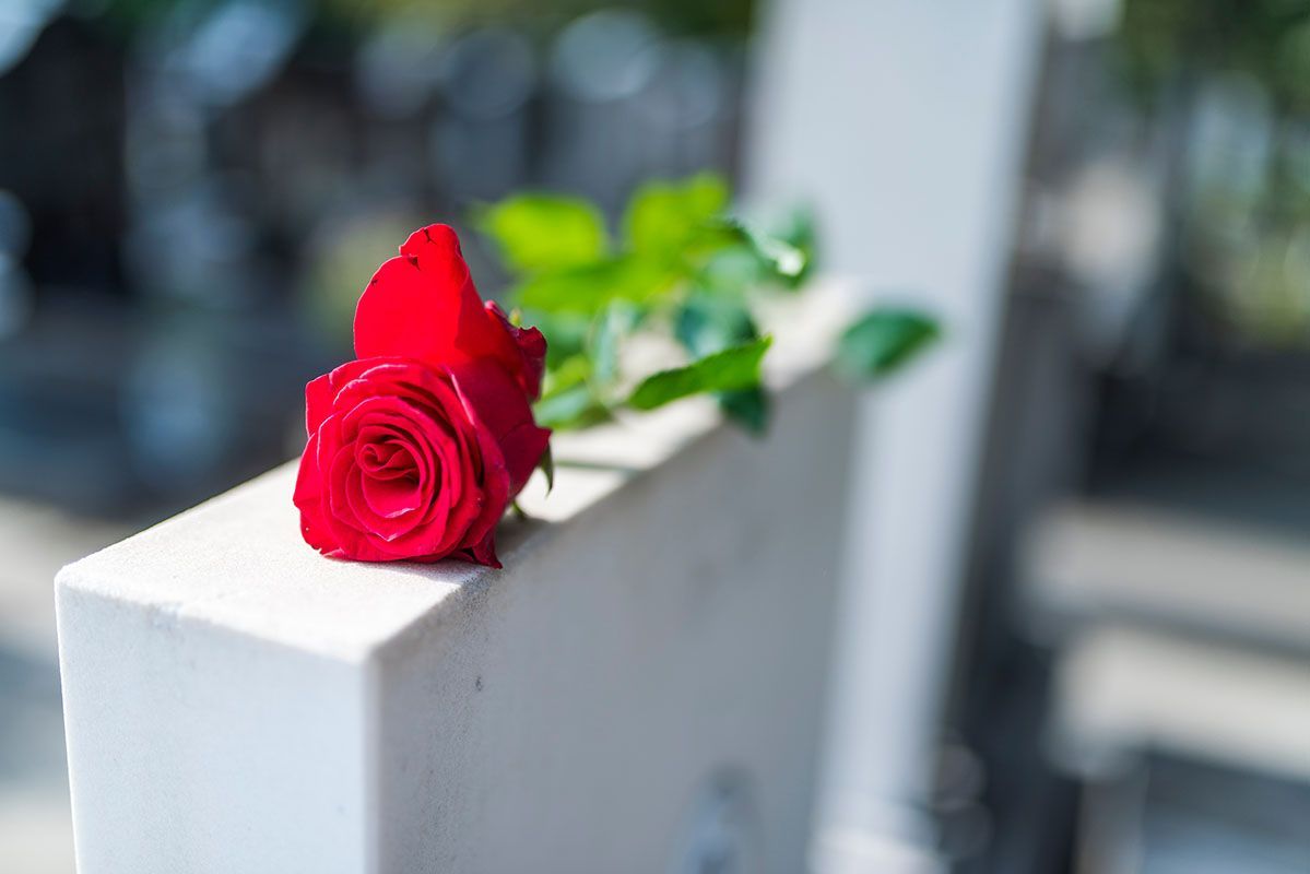 Red rose lying on a white fence post with a blurred outdoor background