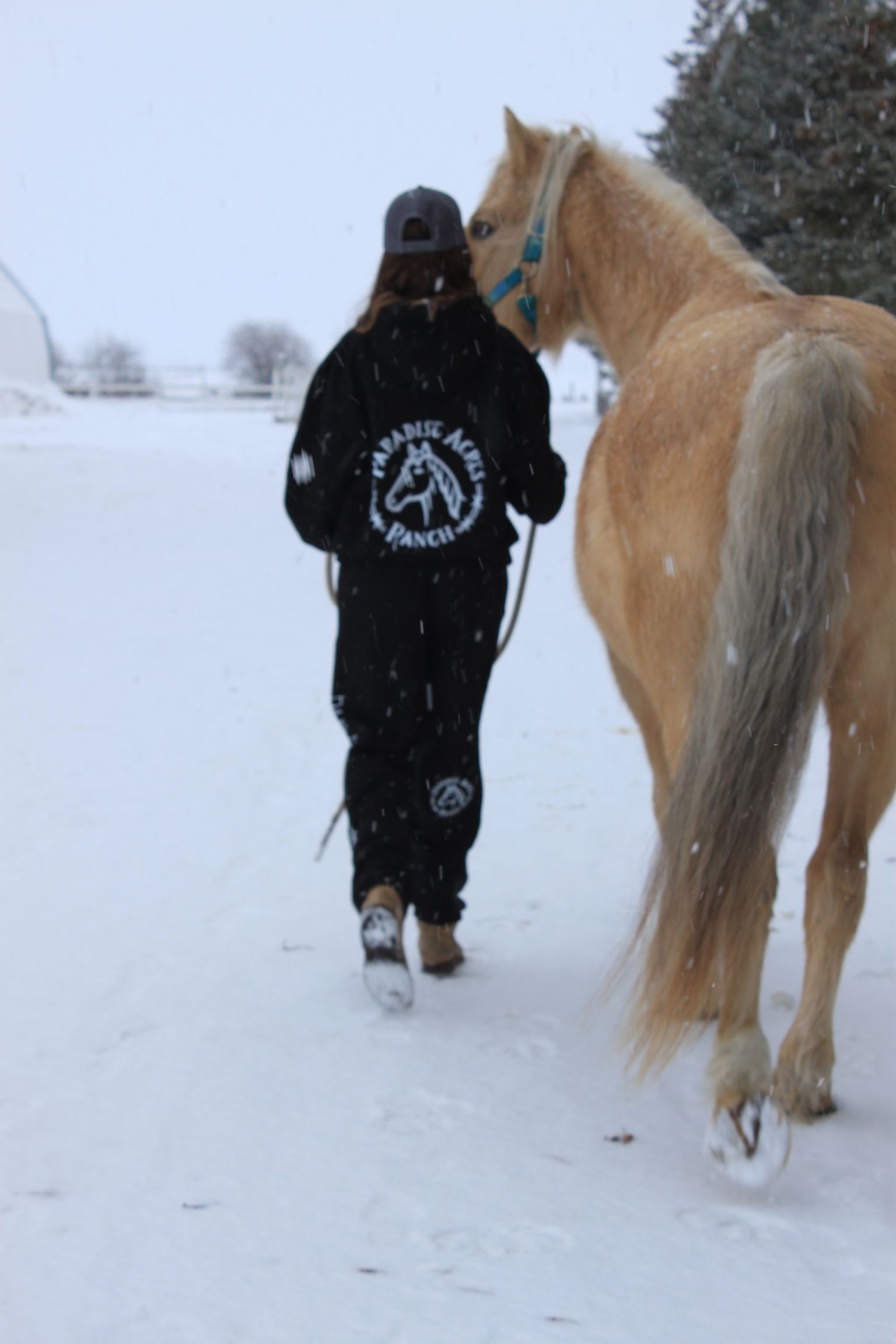 Person in black coat walking beside a tan horse on a snowy path